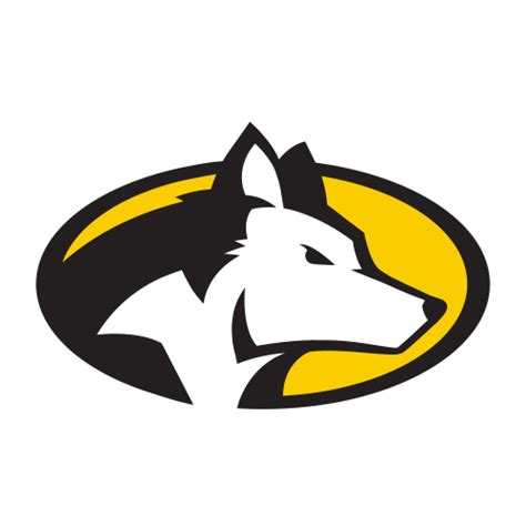 Michigan Tech University Football Team And Program Overview