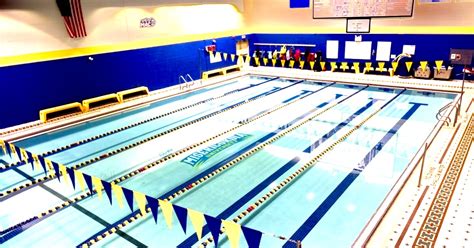 Misericordia University Swimming: Cougars Make Waves In The Pool