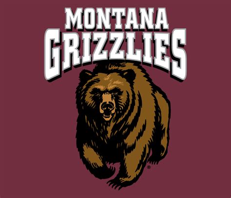 Montana Grizzlies Baseball Team Overview