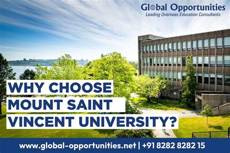 Mount Saint Vincent University Job Outcomes And Success Rates