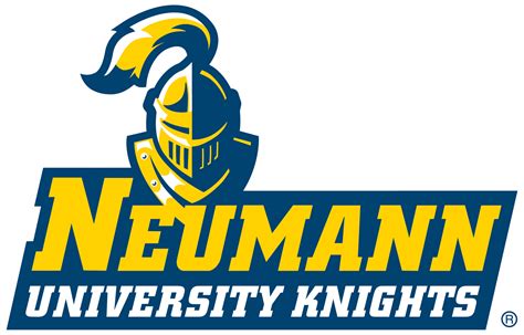 Neumann University Ice Hockey Program Overview