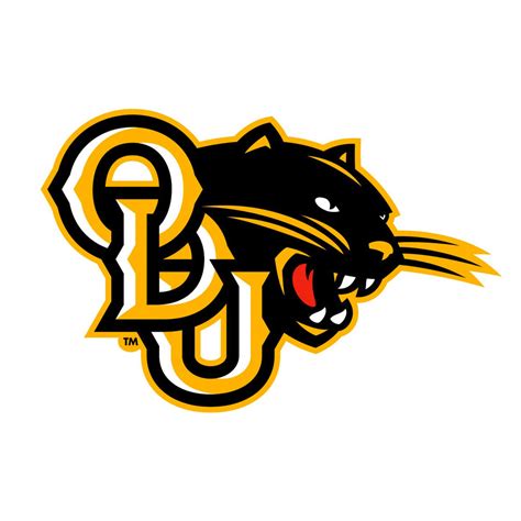 Ohio Dominican Panthers Softball Team Overview