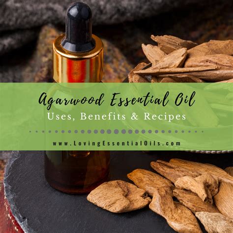 Oud Essential Oil Benefits And Uses