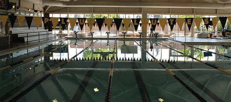 Plu Swimming: Excellence In The Pacific Northwest Waters