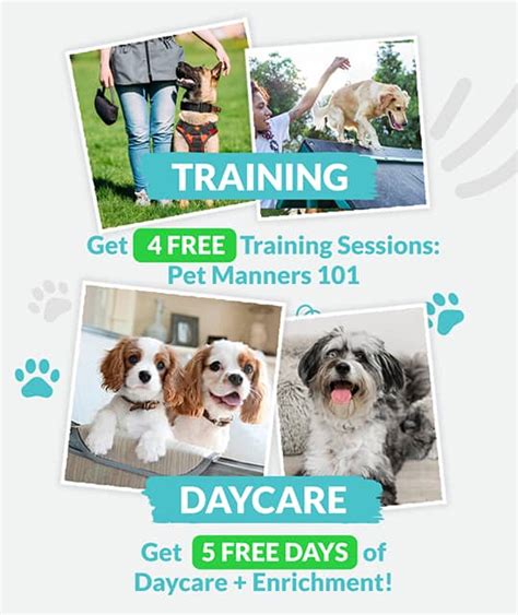 Ruffgers Dog University: Expert Dog Training & Boarding