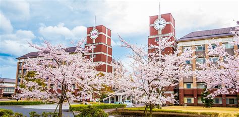 Sakura University: Japans Premier Educational Institution