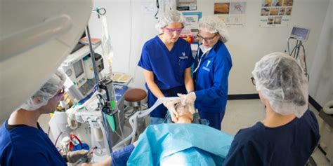 Samford University Nurse Anesthesia Program Overview