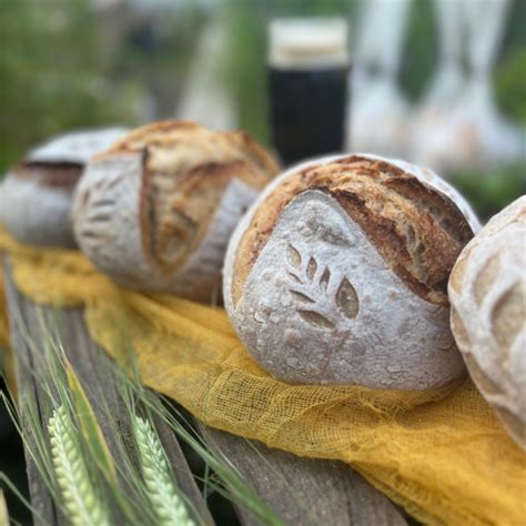 Spelt University: Exploring Ancient Grain Education