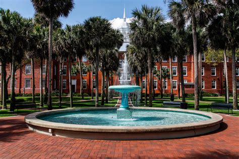 Stetson University Scholarships: Empowering Education Excellence