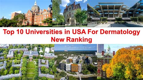 Top Dermatology Universities For Aspiring Skin Specialists