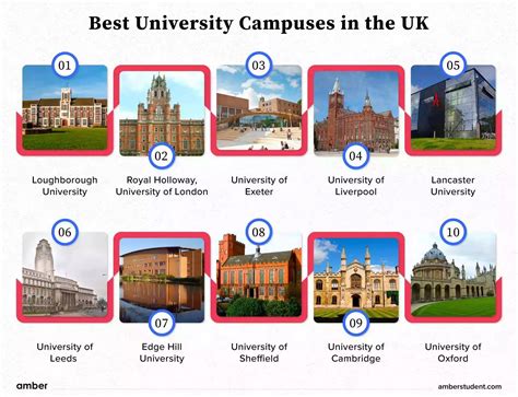 Top Research Universities In The Us