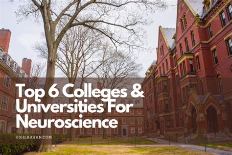 Top Universities For Neuroscience Degrees Globally