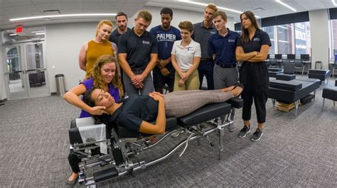 University Chiropractic And Wellness: Holistic Care For Students