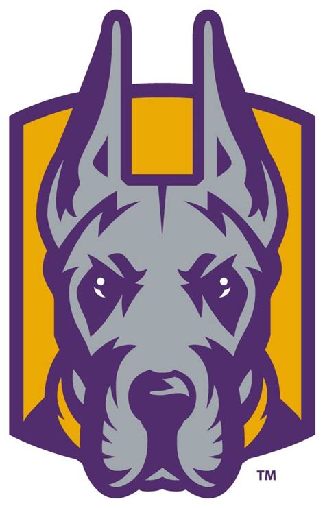 University Of Albany Great Danes Hockey Team Overview