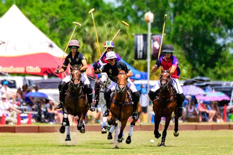 University Of Florida Polo Team Information And Updates