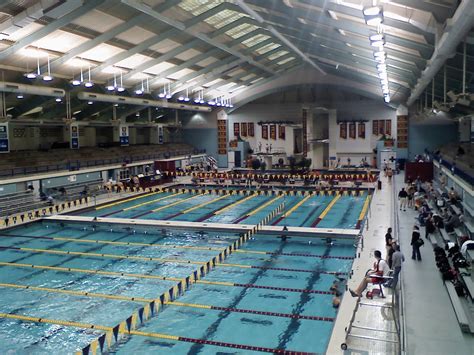 University Of Mary Washington Swimming Team Profile