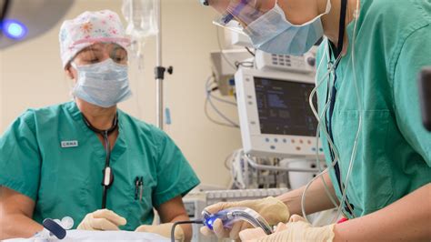 University Of Maryland Nurse Anesthesia Program Overview