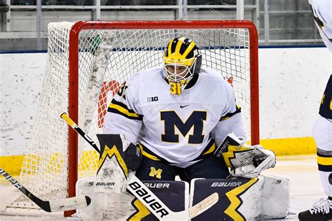 University Of Michigan Hockey Recruits: A Maize And Blue Outlook