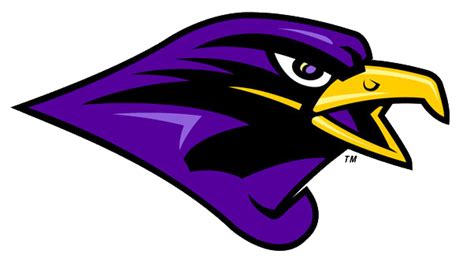 University Of Montevallo Falcons Baseball Team Overview