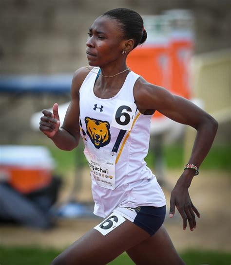 University Of Northern Colorado Track And Field Excellence