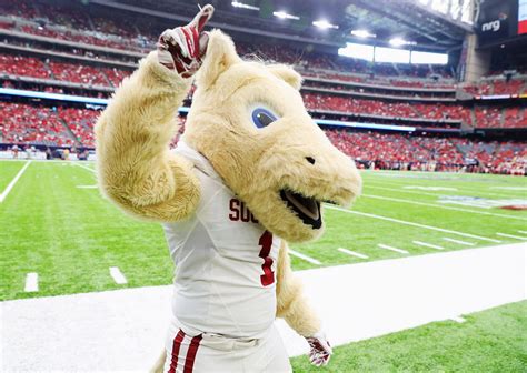 University Of Oklahoma Mascot And Logo Overview