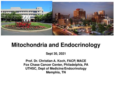 University Of Tennessee Endocrinology Experts In Hormone Health