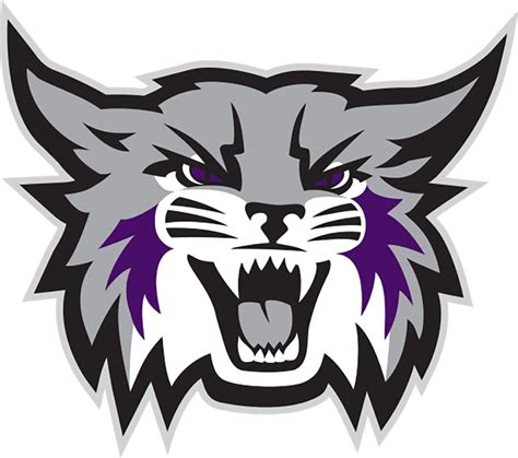 Weber State Wildcats Basketball Tickets On Sale Now