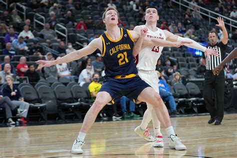 Western New England University Golden Bears Mens Basketball Team