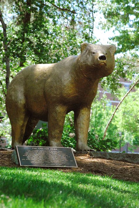 Western New England University Kodiak Bear Facts