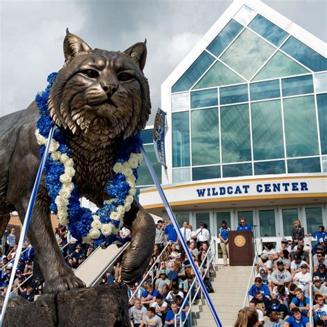 Wildcat Pride: Johnson & Wales University Mascot Revealed