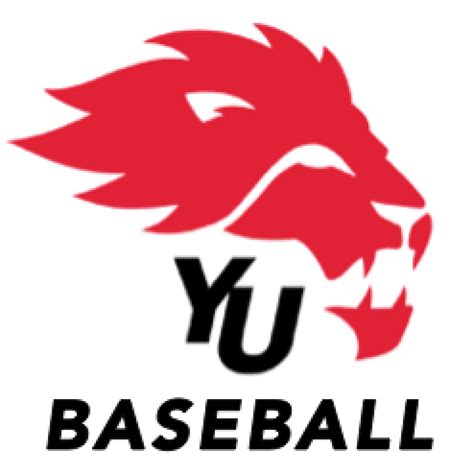 York University Lions Baseball Team Spotlight